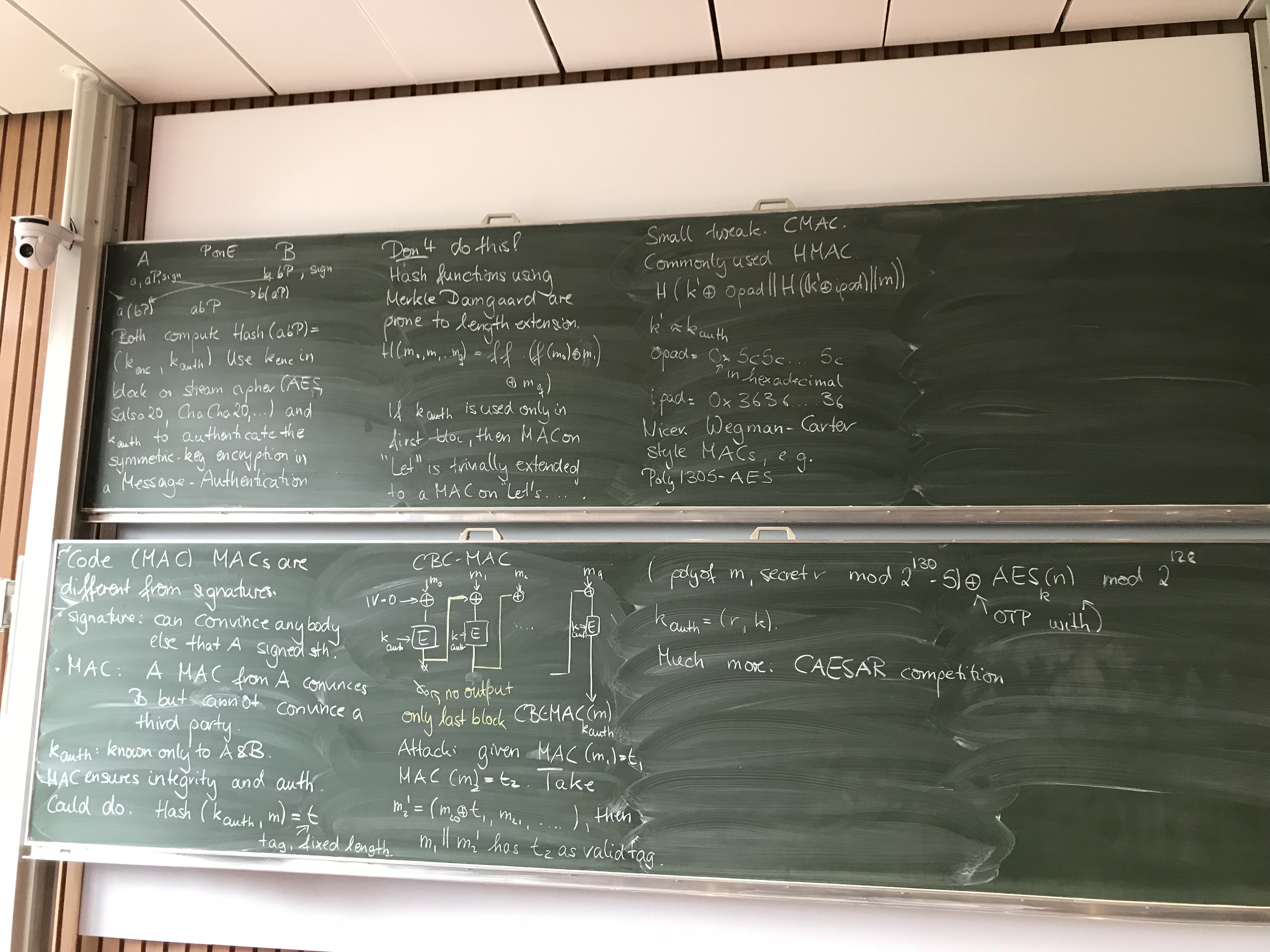 ./IMG_5231.jpg